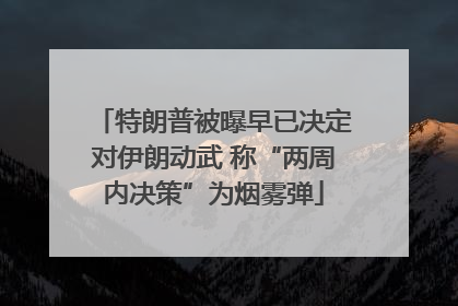 特朗普被曝早已决定对伊朗动武 称“两周内决策”为烟雾弹