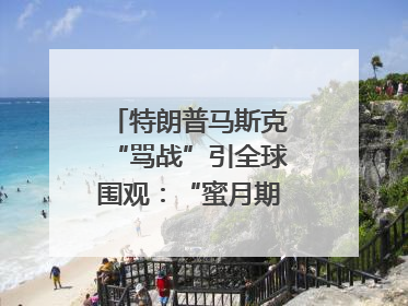 特朗普马斯克“骂战”引全球围观：“蜜月期”也曾亲密无间｜国际观察