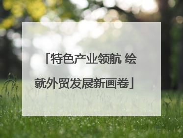 特色产业领航 绘就外贸发展新画卷