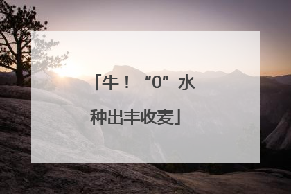 牛！“0”水种出丰收麦