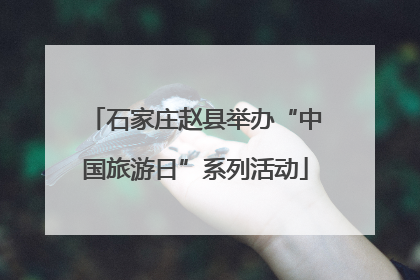 石家庄赵县举办“中国旅游日”系列活动