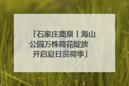 石家庄鹿泉丨海山公园万株荷花绽放 开启夏日赏荷季