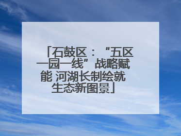 石鼓区：“五区一园一线”战略赋能 河湖长制绘就生态新图景