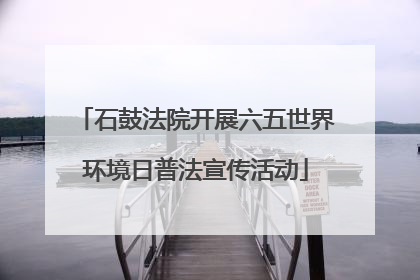 石鼓法院开展六五世界环境日普法宣传活动