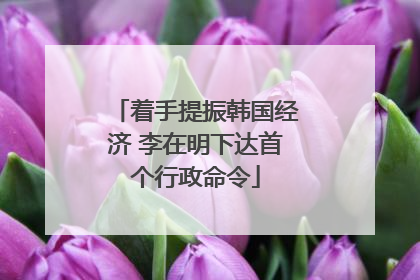 着手提振韩国经济 李在明下达首个行政命令
