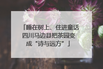 睡在树上、住进童话 四川马边县把茶园变成“诗与远方”