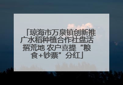 琼海市万泉镇创新推广水稻种植合作社盘活撂荒地 农户喜提“粮食+钞票”分红