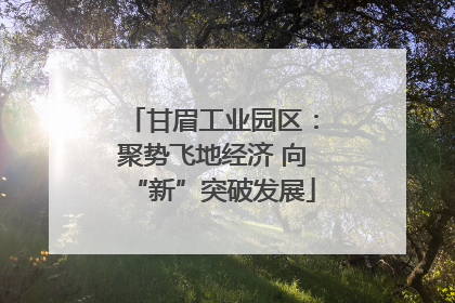 甘眉工业园区：聚势飞地经济 向“新”突破发展