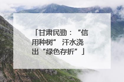 甘肃民勤：“信用种树” 汗水浇出“绿色存折”