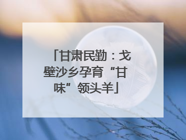 甘肃民勤：戈壁沙乡孕育“甘味”领头羊