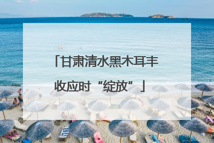 甘肃清水黑木耳丰收应时“绽放”