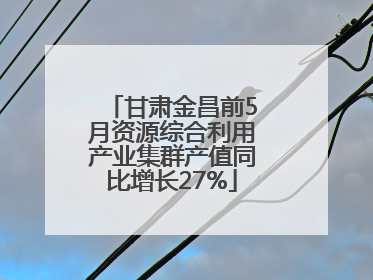 甘肃金昌前5月资源综合利用产业集群产值同比增长27%