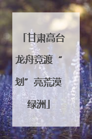 甘肃高台龙舟竞渡“划”亮荒漠绿洲