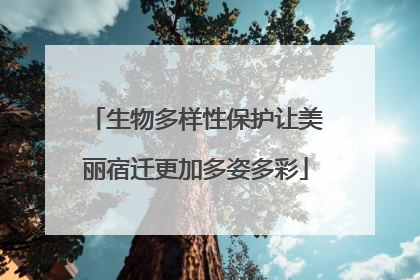 生物多样性保护让美丽宿迁更加多姿多彩