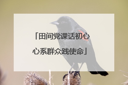 田间党课话初心 心系群众践使命