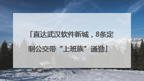 直达武汉软件新城，8条定制公交带“上班族”通勤