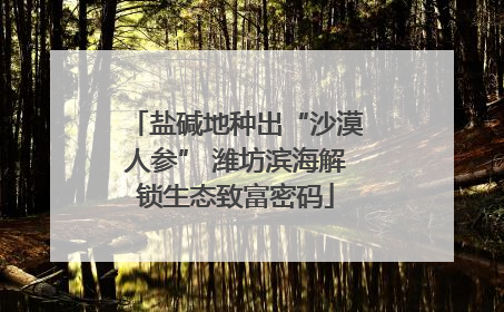 盐碱地种出“沙漠人参” 潍坊滨海解锁生态致富密码