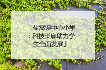 盐窝镇中心小学：科技长廊助力学生全面发展