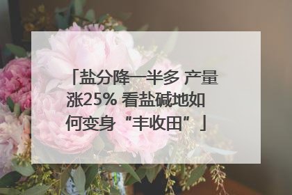 盐分降一半多 产量涨25% 看盐碱地如何变身“丰收田”