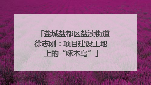 盐城盐都区盐渎街道徐志刚：项目建设工地上的“啄木鸟”