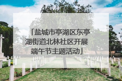 盐城市亭湖区东亭湖街道北林社区开展端午节主题活动