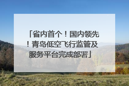省内首个！国内领先！青岛低空飞行监管及服务平台完成部署