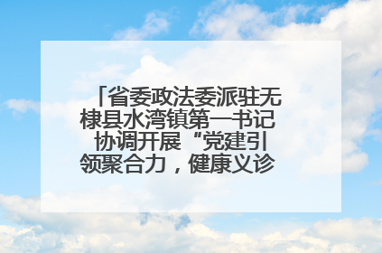 省委政法委派驻无棣县水湾镇第一书记 协调开展“党建引领聚合力，健康义诊惠乡亲”义诊活动