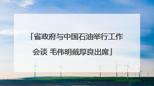 省政府与中国石油举行工作会谈 毛伟明戴厚良出席