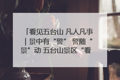 看见五台山 凡人凡事｜景中有“警” 警随“景”动 五台山景区“看得见”的平安守护