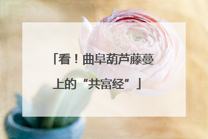 看！曲阜葫芦藤蔓上的“共富经”
