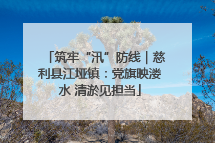 筑牢“汛”防线｜慈利县江垭镇：党旗映溇水 清淤见担当