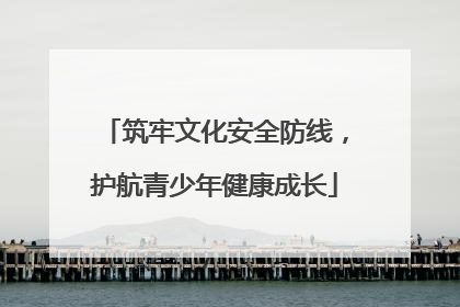 筑牢文化安全防线，护航青少年健康成长