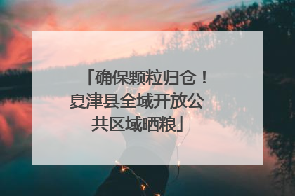 确保颗粒归仓！夏津县全域开放公共区域晒粮