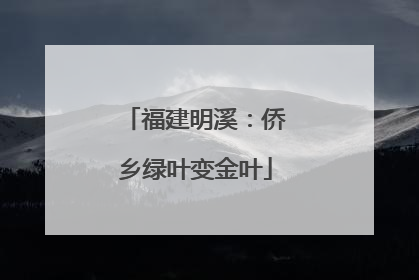 福建明溪：侨乡绿叶变金叶