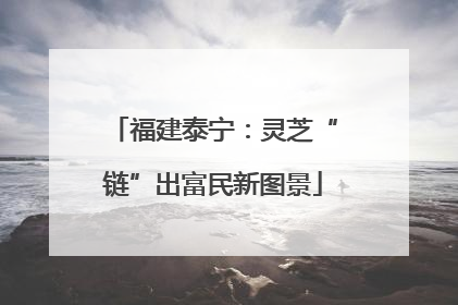 福建泰宁：灵芝“链”出富民新图景