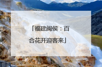 福建闽侯：百合花开迎客来
