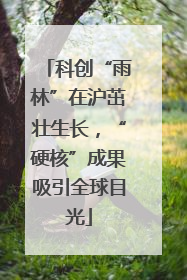 科创“雨林”在沪茁壮生长，“硬核”成果吸引全球目光