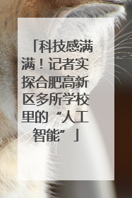 科技感满满！记者实探合肥高新区多所学校里的“人工智能”
