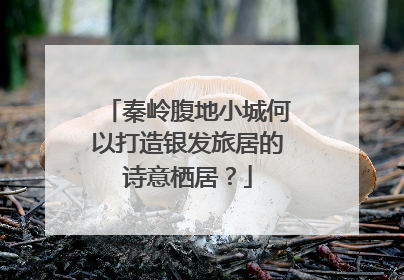 秦岭腹地小城何以打造银发旅居的诗意栖居？