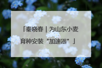 秦晓春｜为山东小麦育种安装“加速器”
