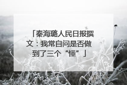 秦海璐人民日报撰文：我常自问是否做到了三个“懂”