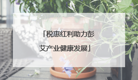 税惠红利助力彭艾产业健康发展