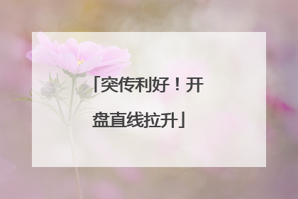 突传利好！开盘直线拉升
