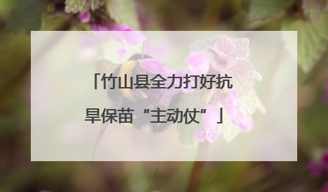 竹山县全力打好抗旱保苗“主动仗”