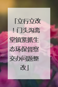 立行立改！门头沟斋堂镇紧抓生态环保督察交办问题整改
