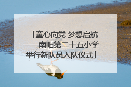童心向党 梦想启航——南阳第二十五小学举行新队员入队仪式