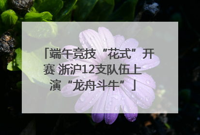 端午竞技“花式”开赛 浙沪12支队伍上演“龙舟斗牛”
