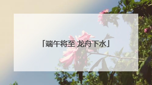 端午将至 龙舟下水