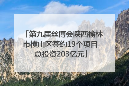 第九届丝博会陕西榆林市横山区签约19个项目 总投资203亿元