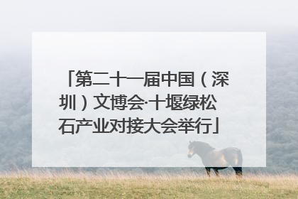 第二十一届中国（深圳）文博会·十堰绿松石产业对接大会举行